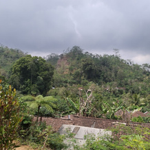 Kus Homestay, 帕格尔哈乔 — 照片 2