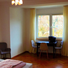 Villa Fink, Schramberg — photo 4