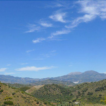 Corazón Andaluz Guesthouse, 科因 — 照片 5