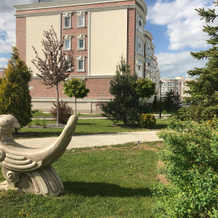 Prilese Na Lesoparkovoj Flat, Tolyatti — photo 4