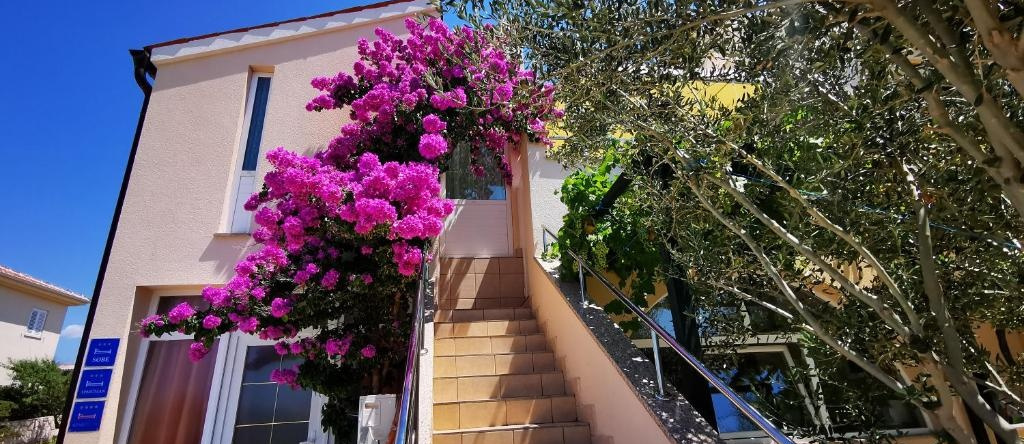 Apartments Marin, Kolan, Mandre, Pag, 科兰 — 照片 1
