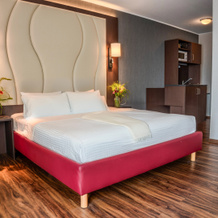 Airways Hotel Frankfurt Airport West, 劳恩海姆 — 照片 4