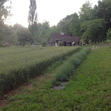 La maison de Maurice, Gaillac — photo 4
