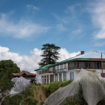 Bara Bungalow Thanedhar Estate, 比塔尔 — 照片 2