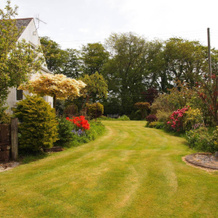 Razani Bed & Breakfast, Annan — photo 5