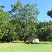 Fazenda São Miguel, 南蒙蒂阿莱格里 — 照片 3