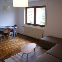 Moor Apartment, Singen — photo 4