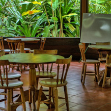 Pachira Lodge, 托尔图格罗 — 照片 5