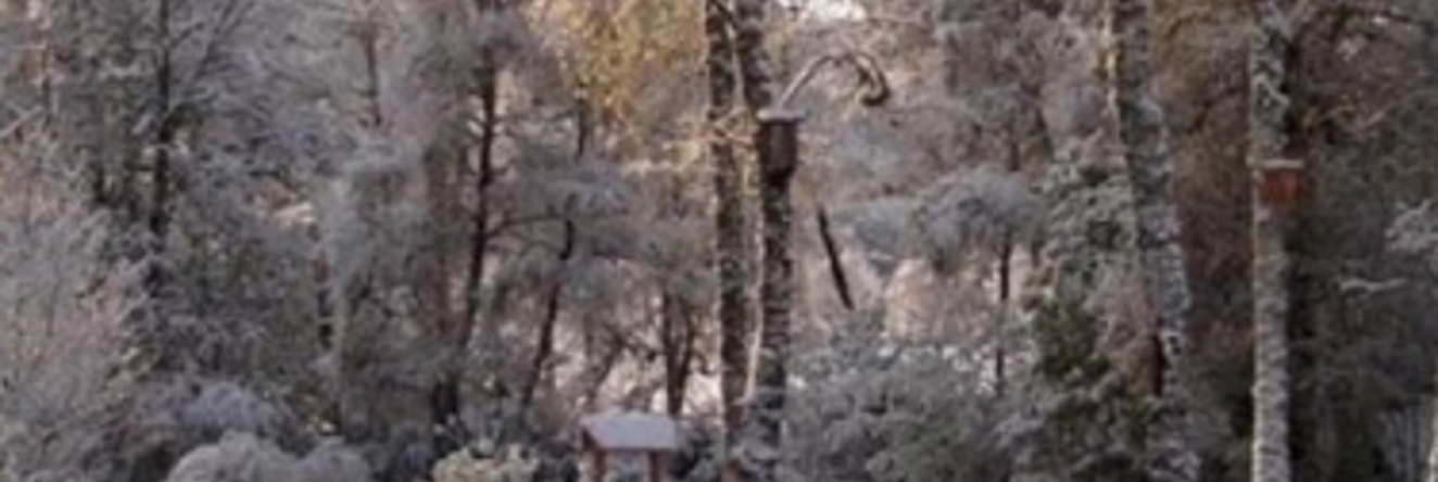 Graineag Bed And Breakfast, Гленмористон — фото 1