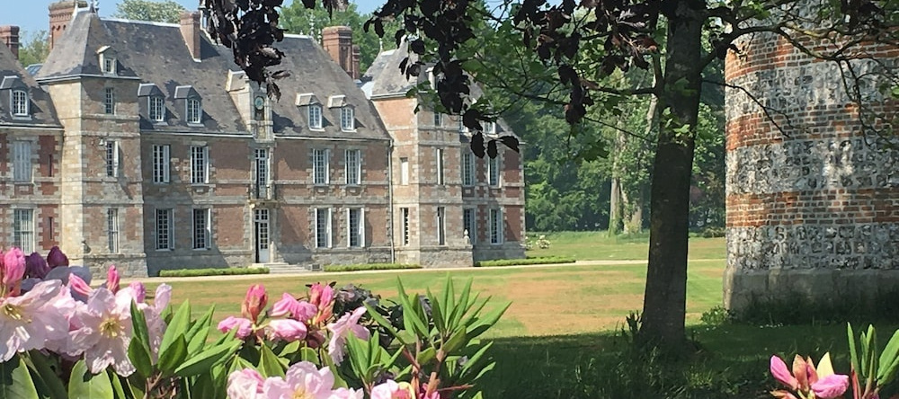 Chateau de Janville, 帕吕埃 — 照片 1