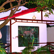 The Wilds Villa Gir Resort with Swimming Pool, 萨赞 — 照片 2