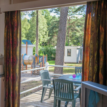 Ground Floor Chalet With Microwave in Natural Surroundings, Mierlo — photo 3