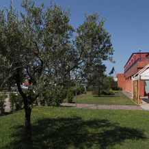 Euro Hotel, Cascina — photo 3