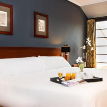 Segovia Sierra de Guadarrama Hotel, 埃尔埃斯皮纳尔 — 照片 5