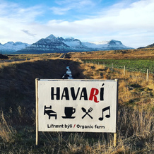 Havari, Djupivogur — photo 4