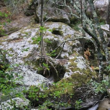 Retiro Da Arminda, 里贝拉迪佩纳 — 照片 5
