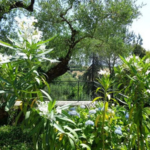 Ferienanlage Villa Olcimia, 卡佩纳 — 照片 4