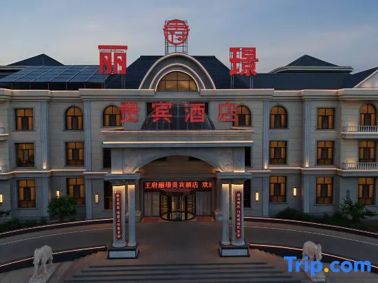 Wangfu Lijing Vip Hotel, Xinghe — photo 1