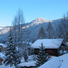 Le Petit Capricornus - 2 Bedroom Villa, Morgins — photo 3