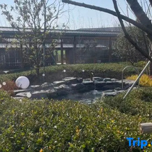 Suzhou Linhu Selenium-Rich Hot Spring Hotel, Сучжоу — фото 4