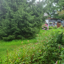 Olta Private House, Primorsk — photo 2