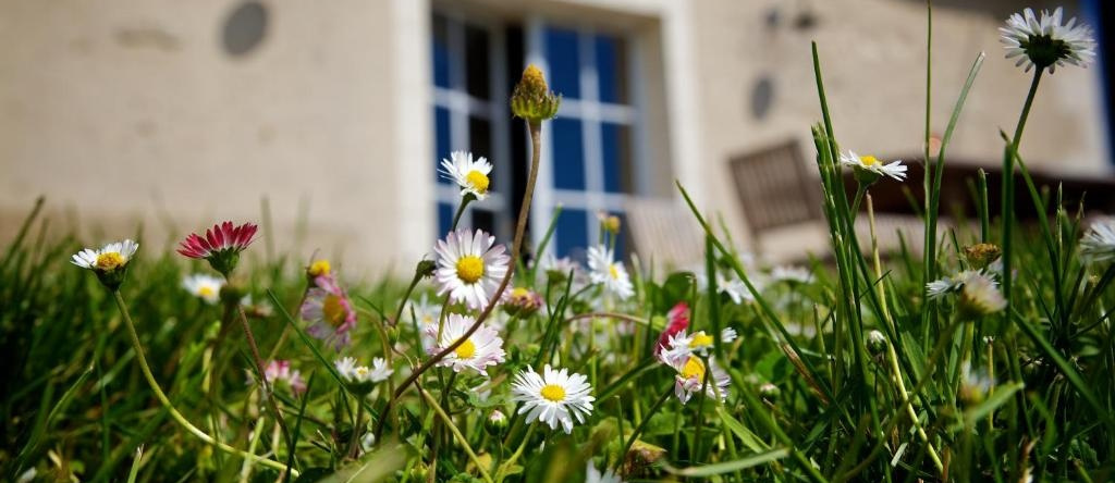 Domaine de Matounet, Bridoré — photo 1