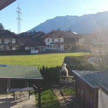Ferienwohnung Blick auf die Berge, 皮丁格劳 — 照片 5