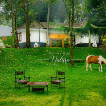 Green Berg Holiday Resorts, Тходупужа — фото 2