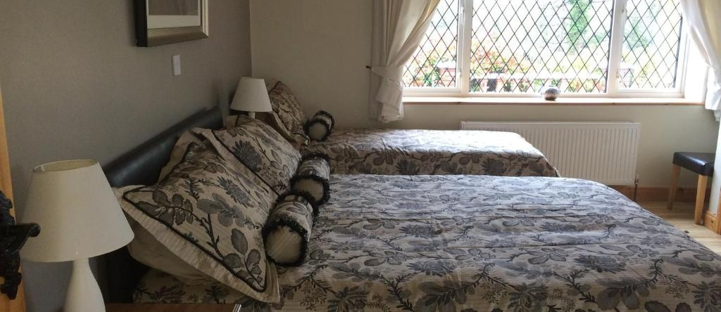 Plantation Lodge B&B, Kingscourt — photo 1