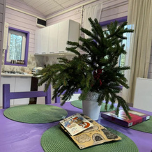 Na Beregovoy Private House 3, Primorsk — photo 2