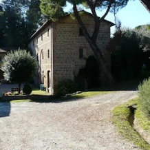 Tenuta Le Coste, Citta della Pieve — photo 5