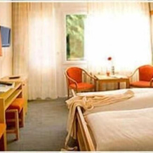 Hotel-Gasthof Wasserschloß, Митвиц — фото 5