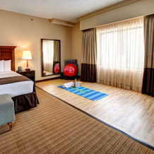 DoubleTree by Hilton Chicago O'Hare Airport - Rosemont, 罗斯蒙特 — 照片 2