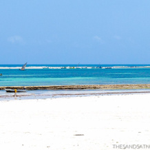 Nomad Beach Resort, Galu — photo 4