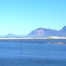 Flamingo Lake, 普林格尔湾 — 照片 2