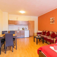 Apartmán Velké Losiny, Velke Losiny — photo 4