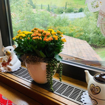 Tannerhof Bed & Breakfast, Caines — photo 4