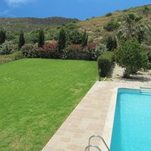 Vineland Perigiali Villa, 皮苏里 — 照片 5
