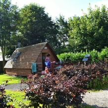 Royal Umpire Caravan Park, Лейленд — фото 3