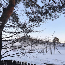 Лида Драйв Плюс, Лида — фото 3