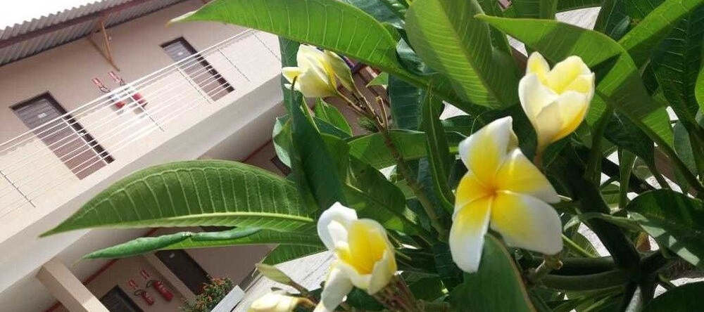 Atlantic Mar Park Hotel, Areia Branca — photo 1