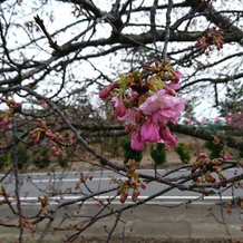 Hotel Shirako Sunrize Otsuka, Shirako — photo 5