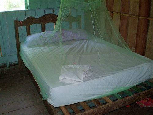 Manaus Jungle Hostel, Iranduba — photo 1