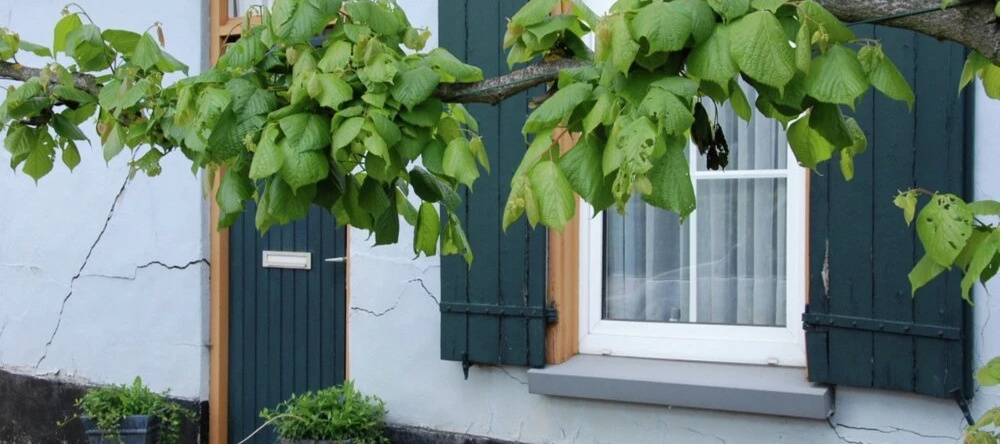 Spacious Holiday Home in Borkel en Schaft With Garden, 瓦尔肯斯瓦德 — 照片 1