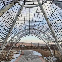 Tahe Binlai Hotel, Тахэ — фото 3