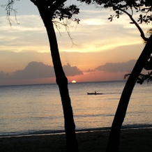 Binucot Beach Resort, 费罗尔 — 照片 3