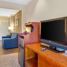 Comfort Suites Oakbrook Terrace near Oakbrook Center, Oakbrook Terrace — photo 5