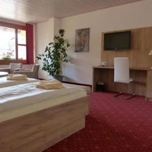 Ferienhotel Wolfsmhle, Nordhausen — photo 4