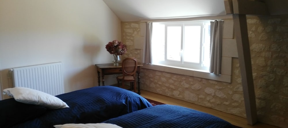 La Demeure des Demoiselles de Pallus, Cravant-les-Coteaux — photo 1