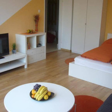 Appartement Maria Enzersdorf, Maria Enzersdorf — photo 2